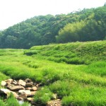 白山命水採水地周辺風景①