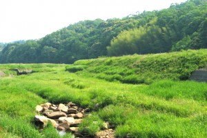 白山命水採水地周辺風景①